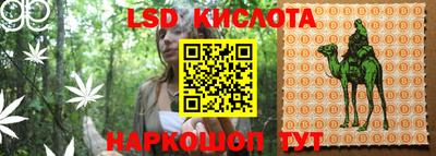 прущие грибы Рязань