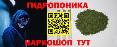шишки Пыть-Ях