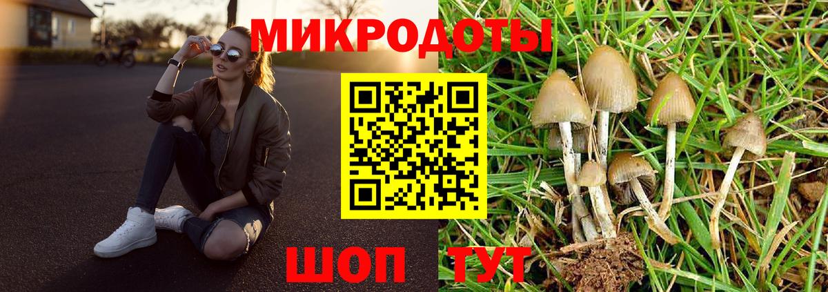 Псилоцибиновые грибы прущие грибы  Вход с VPN  Ногинск 