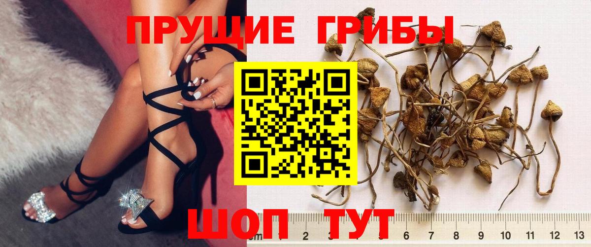 Псилоцибиновые грибы ЛСД Ногинск